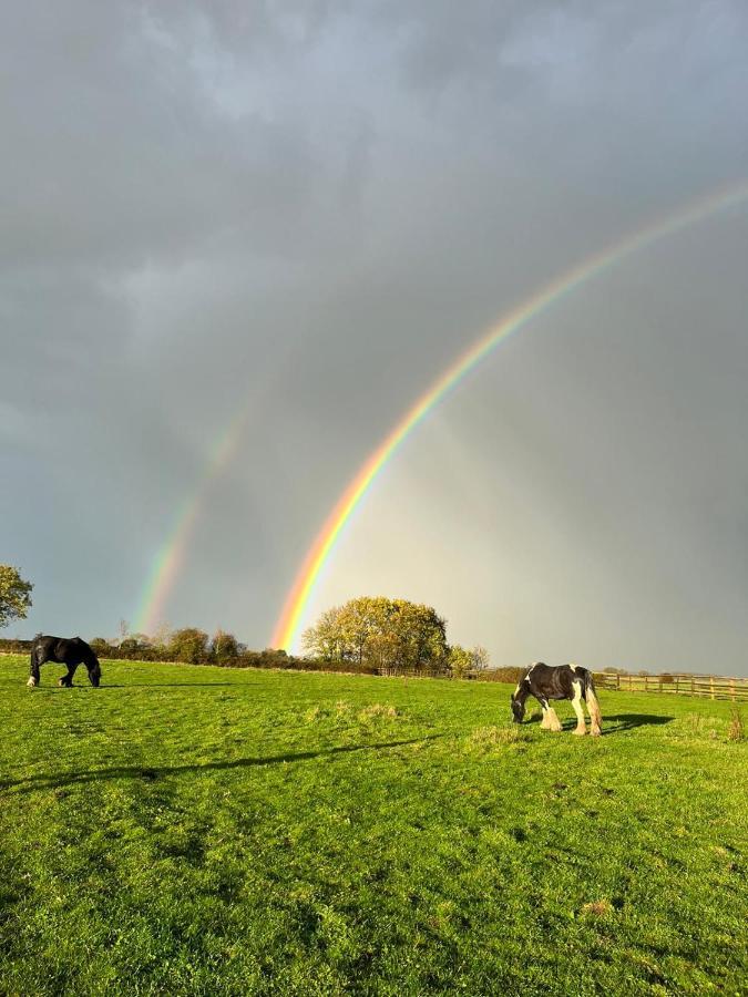 Appaloosa Suite With Amazing Views Of Stud Farm. Driffield 외부 사진